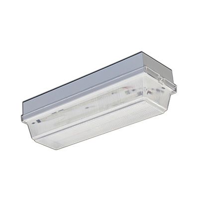 SAYLITE Medium Exterior Wall Pack Light TXFDC1502PL42MVLP MULTIVOLT FLUORESCENT 